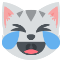 cat face with tears of joy